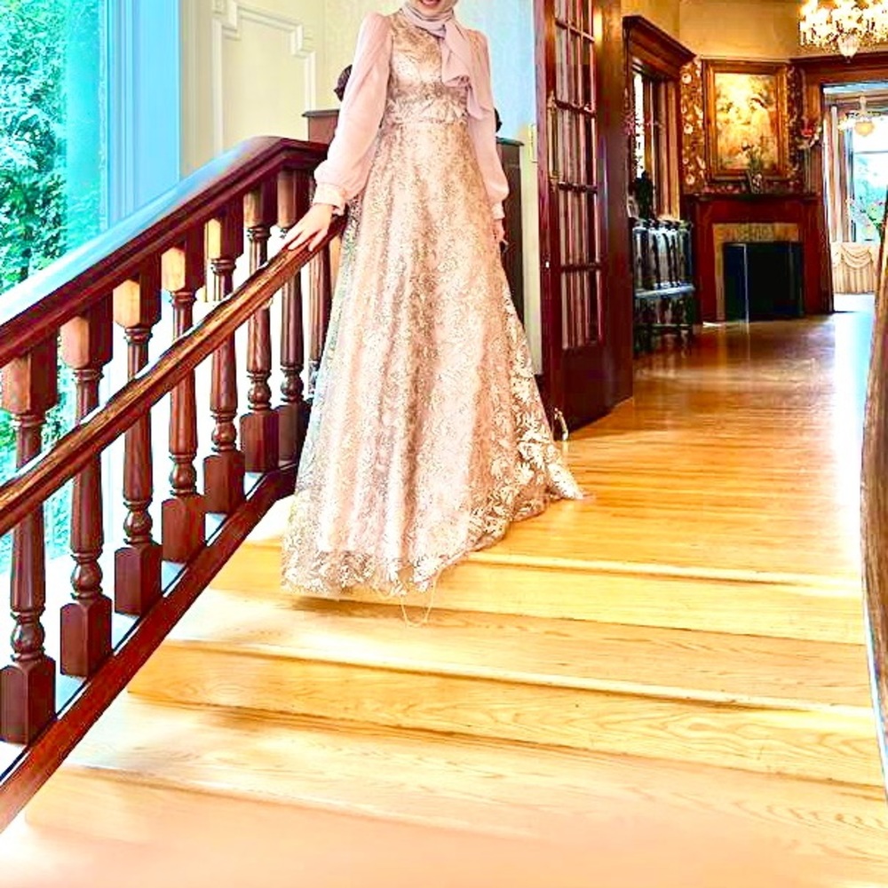 Elegant A line blush colored floor length ball gown with chiffon back detailing